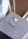 verbeterde chateau sieraden belichting-5.webp