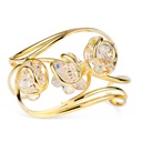 Andrea Marazzini - Ninfea Aurora Boreale