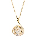 Andrea Marazzini - Ninfea Aurora Boreale