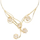 Andrea Marazzini - Ninfea Aurora Boreale