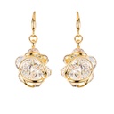 Andrea Marazzini - Ninfea Aurora Boreale