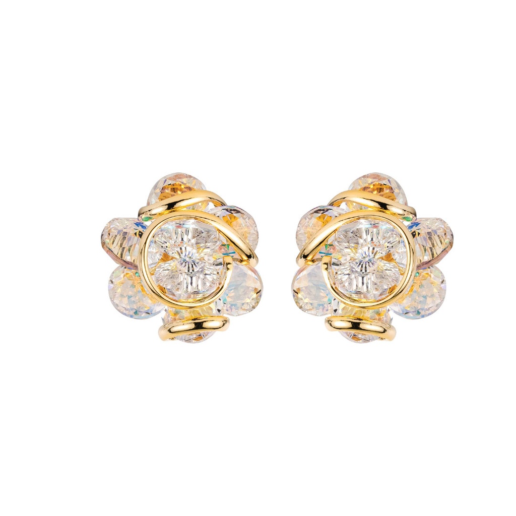 Andrea Marazzini - Ninfea Aurora Boreale