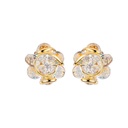 Andrea Marazzini - Ninfea Aurora Boreale