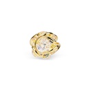 Andrea Marazzini - Ninfea Aurora Boreale