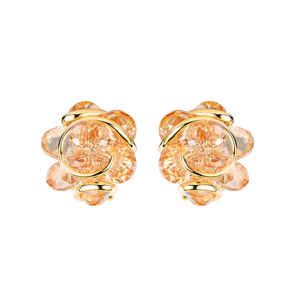 Andrea Marazzini - Ninfea Golden Shadow