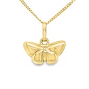 Geelgouden hanger Vlinder tweezijdig (glans voor/ mat achter)