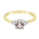 Bicolor gouden ring met Morganite en Diamant 0,06 karaat