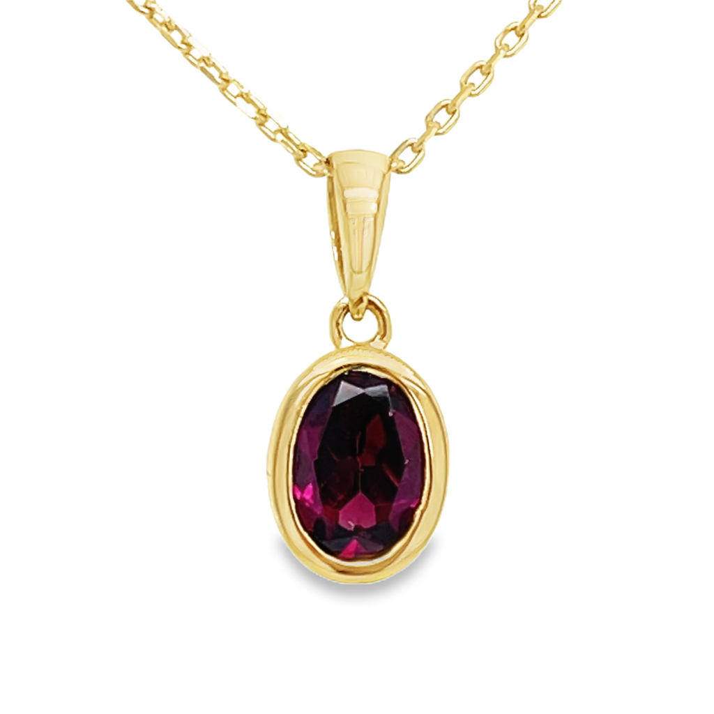 [GHE0949] Geelgouden hanger met Rhodolite