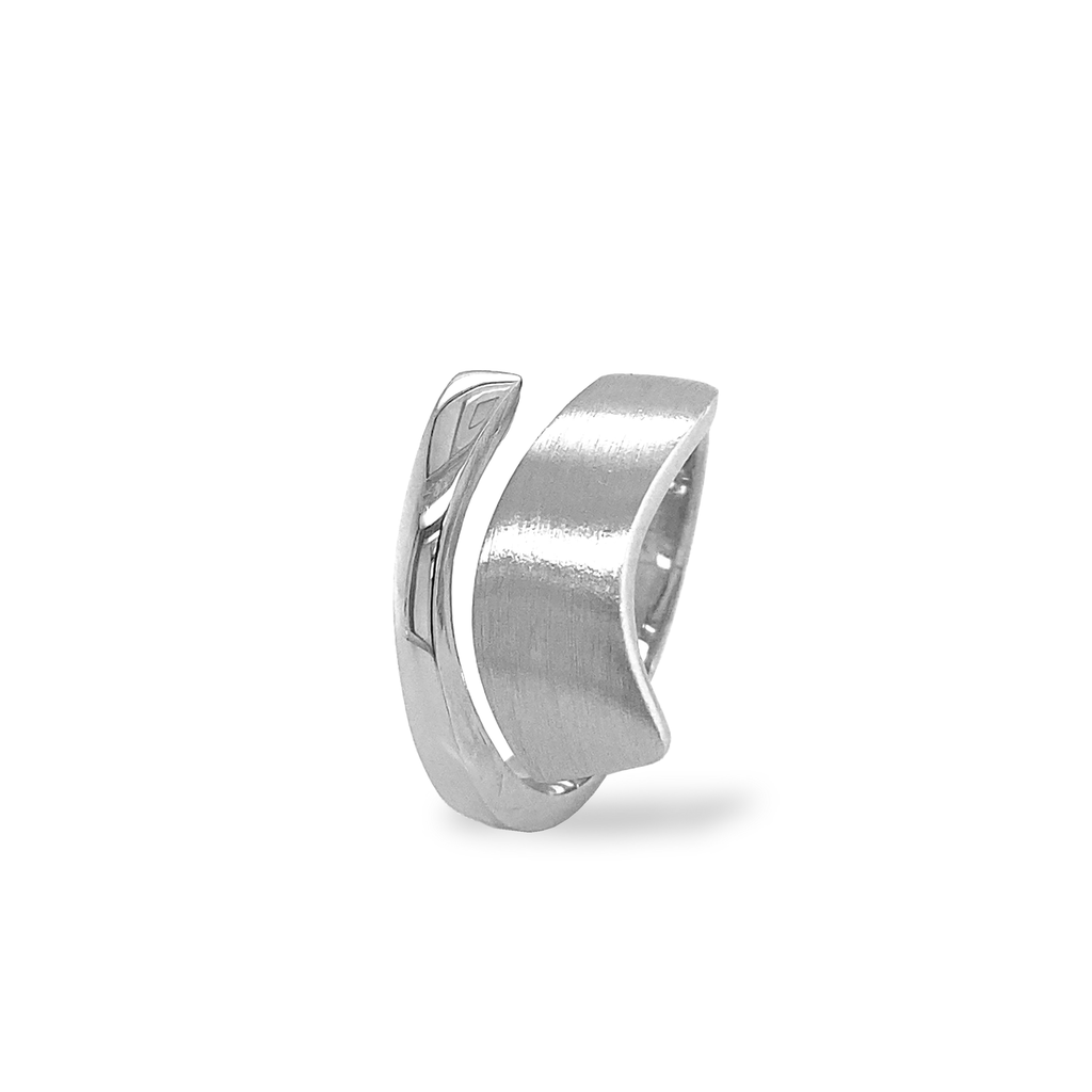 [ZR2028] Silver ring Fantasy Matte/Gloss