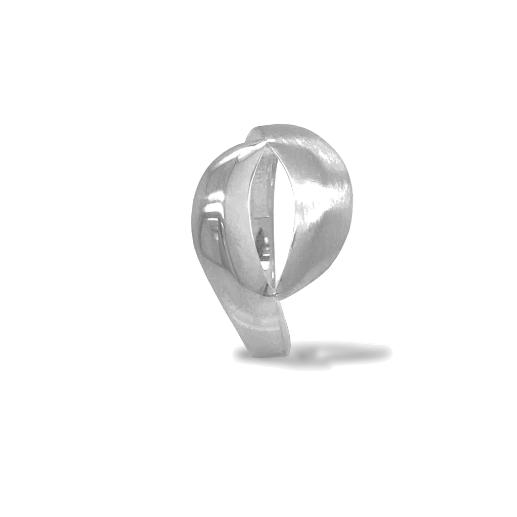 [ZR2030] silver matte/gloss ring WRSM