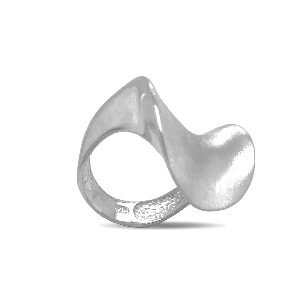 [ZR2041] Silver fantasy ring matte/gloss WRSM