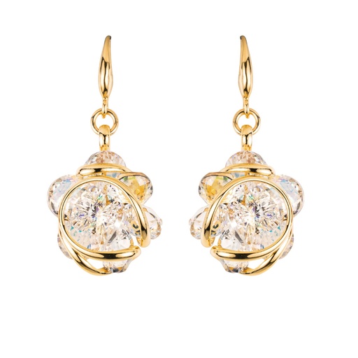 [GONINABOE1] Andrea Marazzini - Ninfea Aurora Boreale