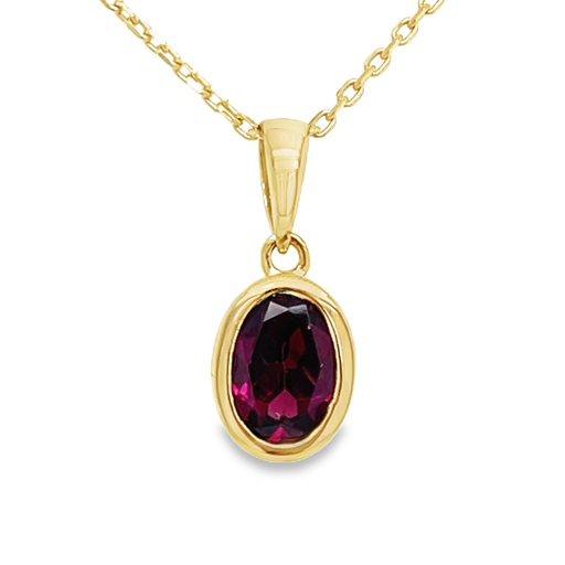 [GHE0949] Geelgouden hanger met Rhodolite