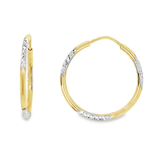 [GOR1047] Bicolor gouden oorringen Fantasie