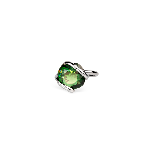 [RHMINFGRSW] Andrea Marazzini - Simple Fernet Green