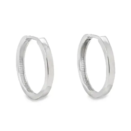 [WOR1059] White gold earrings