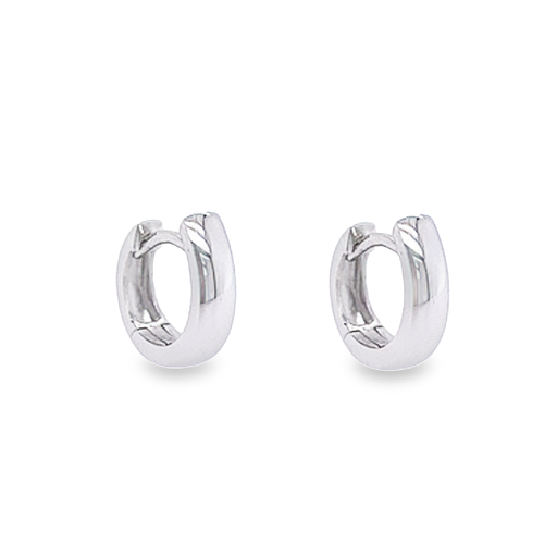 [WOR1094] White gold earrings