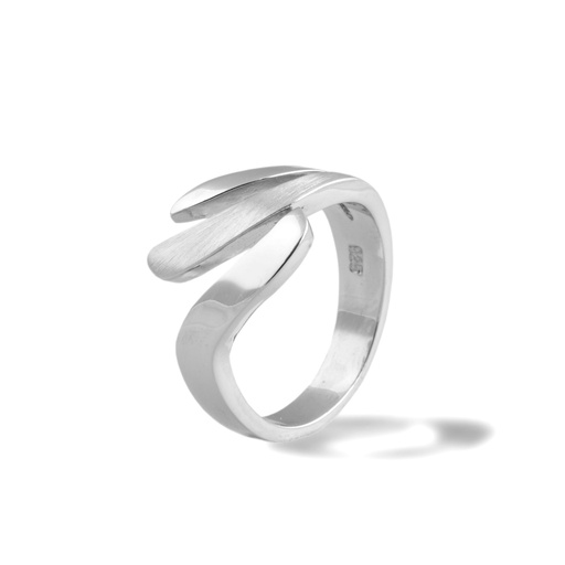 [ZR2018] Silver ring Fantasy Matte/Gloss