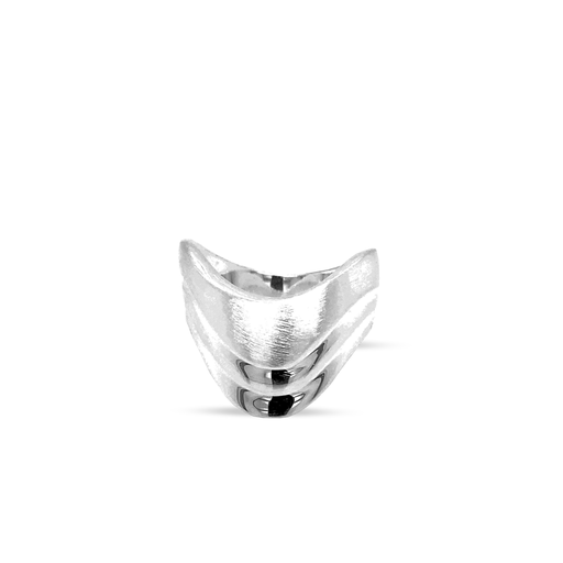 [ZR2036] Zilveren ring Fantasie Mat/Glans