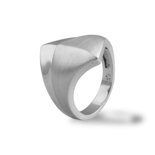 [ZR2039] Silver ring with matte/gloss ring