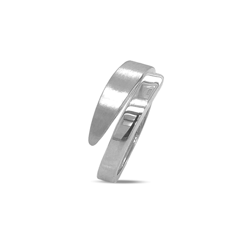 [ZR2054] Silver fantasy ring matte/gloss WRSM